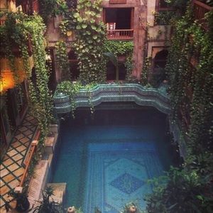 Meet your Posher, Bree